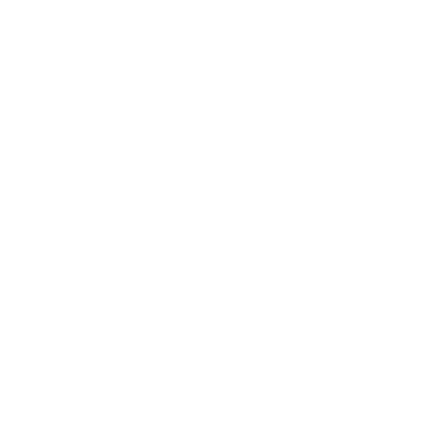 The Race Media logo